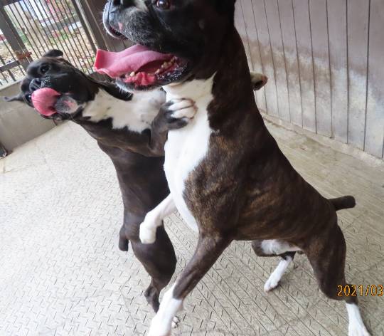 生き物ルーム第39