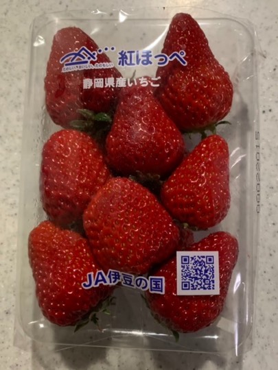 マスク同窓会詰所兼ニューフェイス歓迎所19