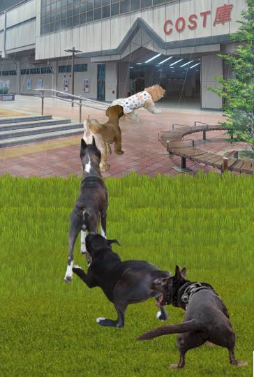 生き物ルーム第36