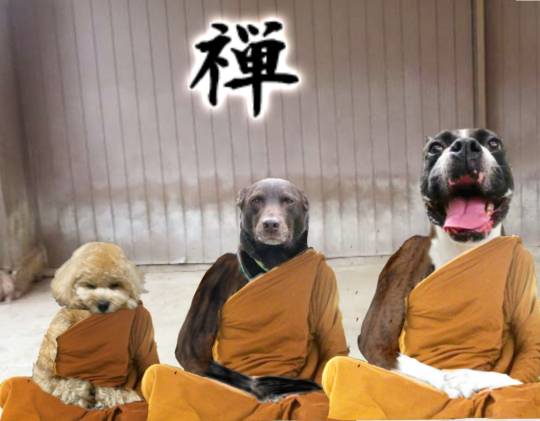 生き物ルーム第39