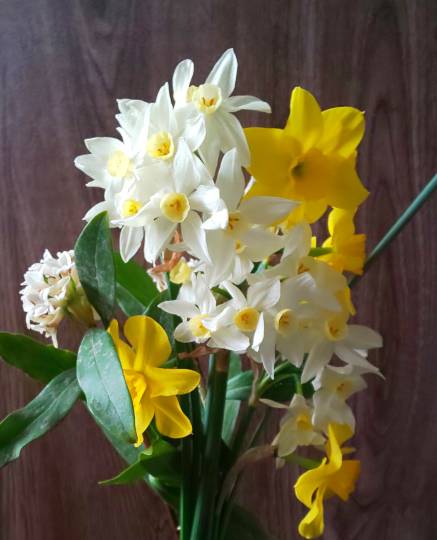 花鳥風月に心を込めて... (エアー花トピ2)