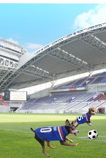 生き物ルーム第38