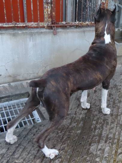 生き物ルーム第36