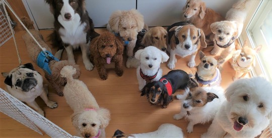 生き物ルーム第39