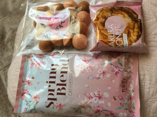 マスク同窓会詰所兼ニューフェイス歓迎所17