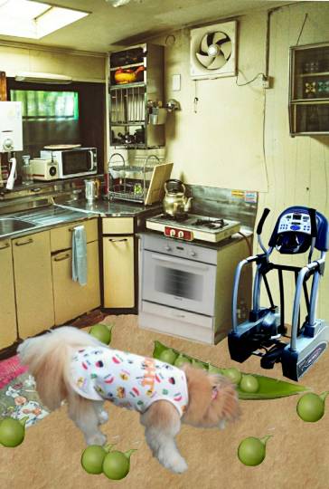 生き物ルーム第37