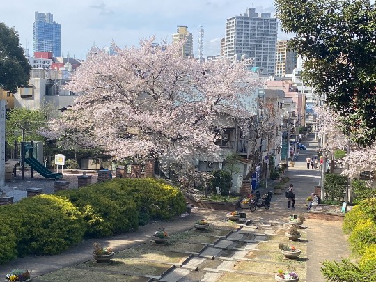 ★ドンキ♡♡ロピア 雑談23★