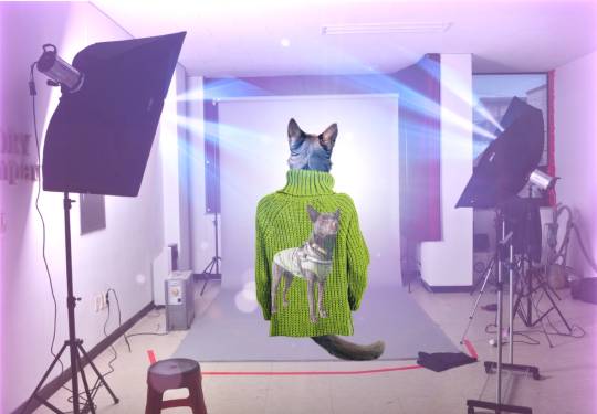 生き物ルーム第38