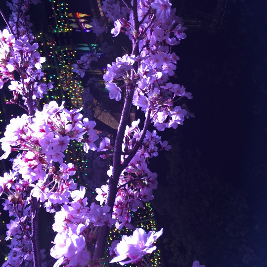 生き物ルーム第39