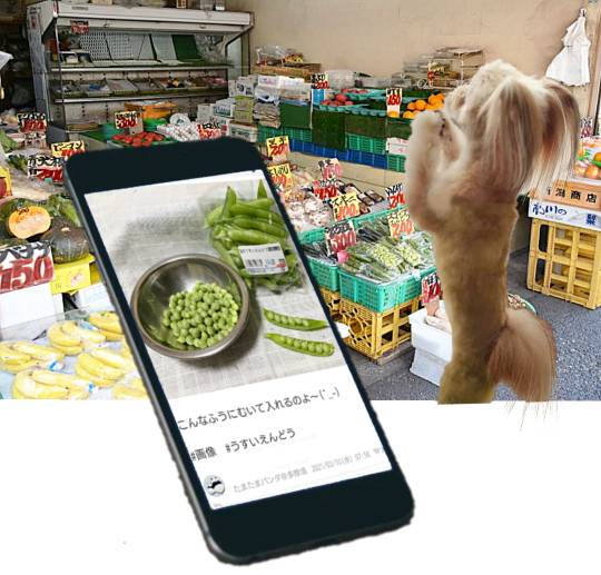 生き物ルーム第37