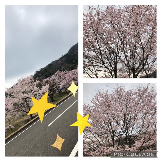 ★ドンキ♡♡ロピア 雑談21★ 