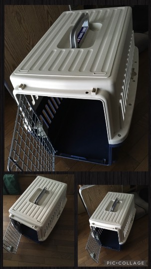 生き物ルーム第36