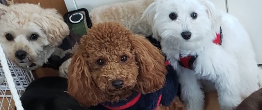 生き物ルーム第38