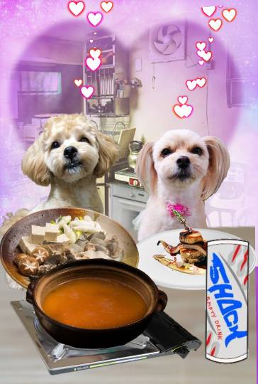 生き物ルーム第37