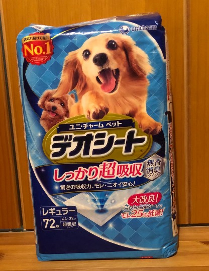 生き物ルーム第36