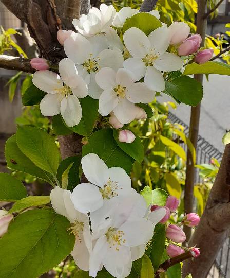 ◆⑩関西版 雑談◆〜関西以外の方も話の輪にどうぞ♪