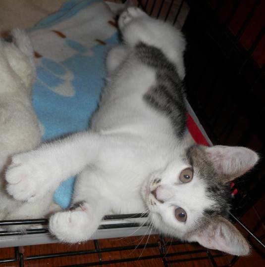 生き物ルーム第37