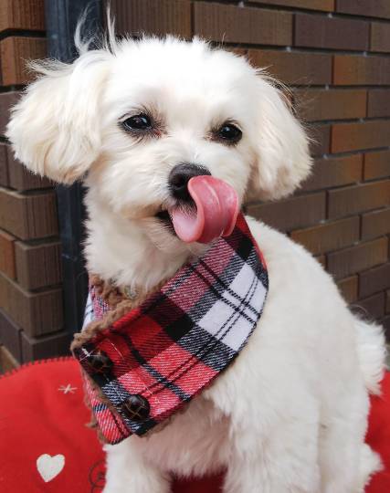 生き物ルーム第37