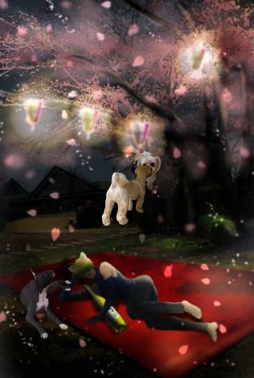 生き物ルーム第39