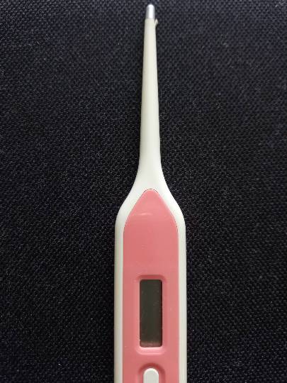 つぶやき57 なるようにする2021