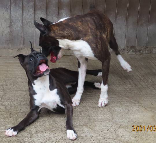 生き物ルーム第39