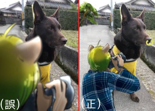 生き物ルーム第38