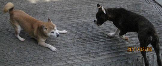 生き物ルーム第39