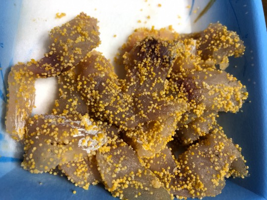 ★ドンキ♡♡ロピア 雑談19★