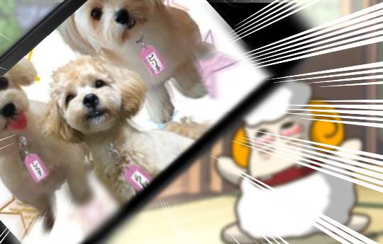 生き物ルーム第38