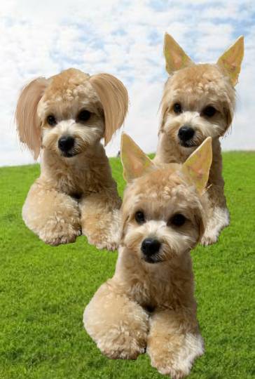 生き物ルーム第37