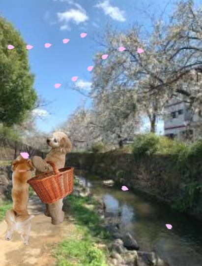 生き物ルーム第39