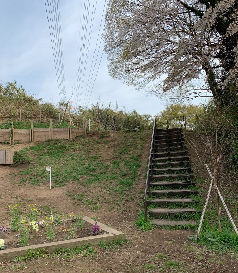 生き物ルーム第39