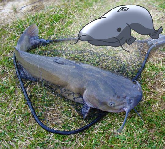 生き物ルーム第36