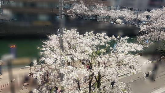 マスク同窓会詰所兼ニューフェイス歓迎所19