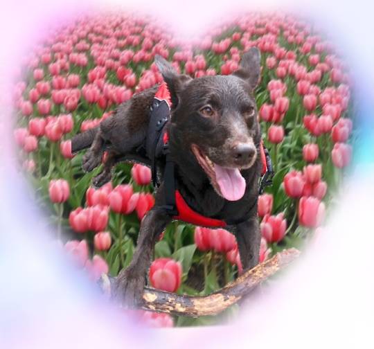 生き物ルーム第37