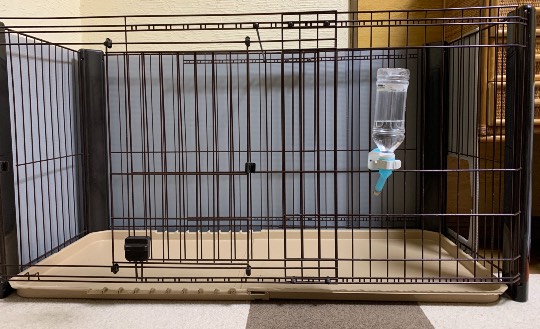 生き物ルーム第36