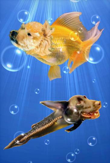 生き物ルーム第36