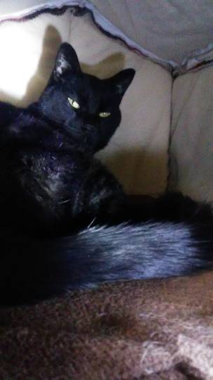 生き物ルーム第37