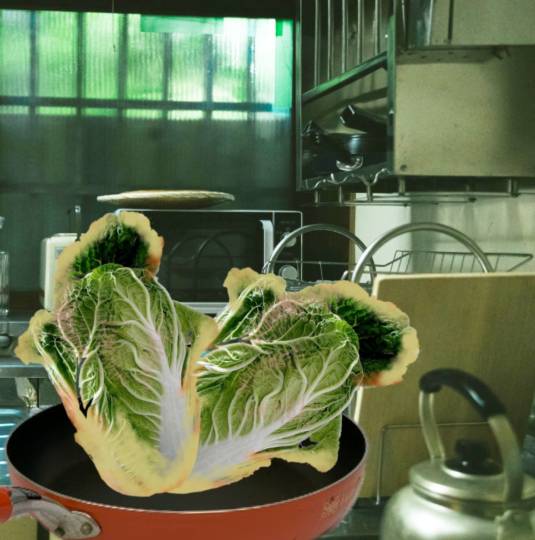 生き物ルーム第37