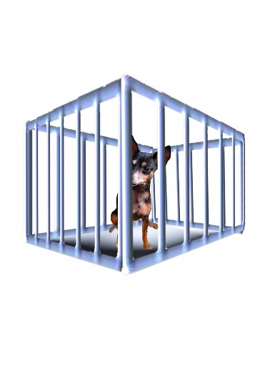 生き物ルーム第38