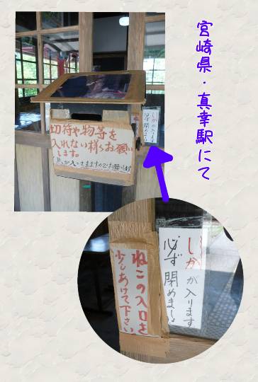 生き物ルーム第37