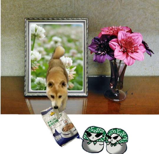 生き物ルーム第36