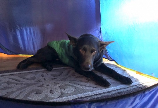 生き物ルーム第38