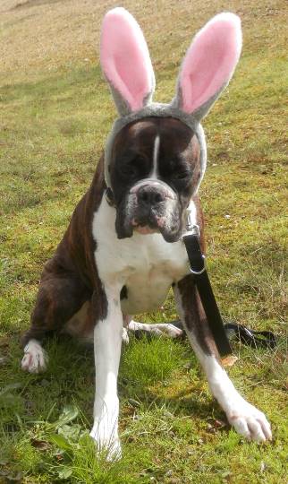 生き物ルーム第37