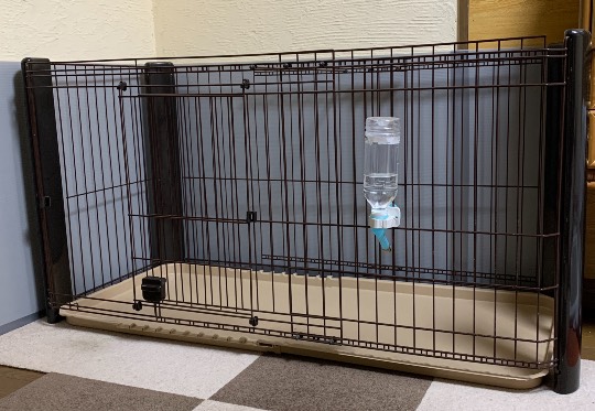 生き物ルーム第36