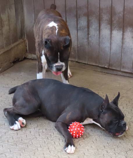 生き物ルーム第39