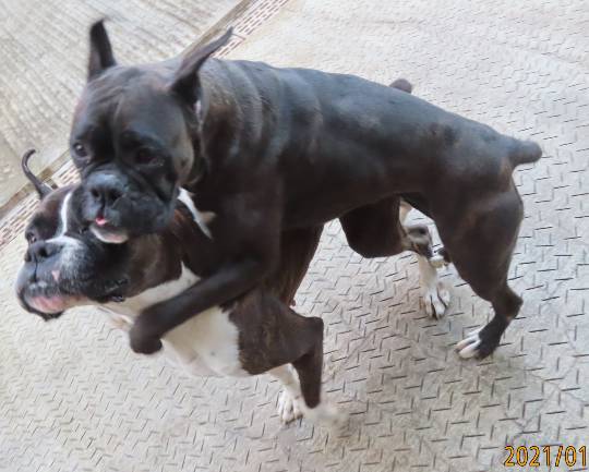 生き物ルーム第38