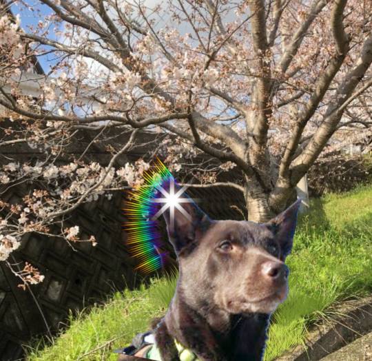 生き物ルーム第39