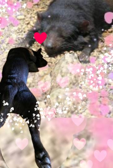 生き物ルーム第37