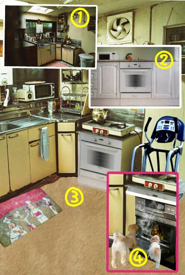 生き物ルーム第37